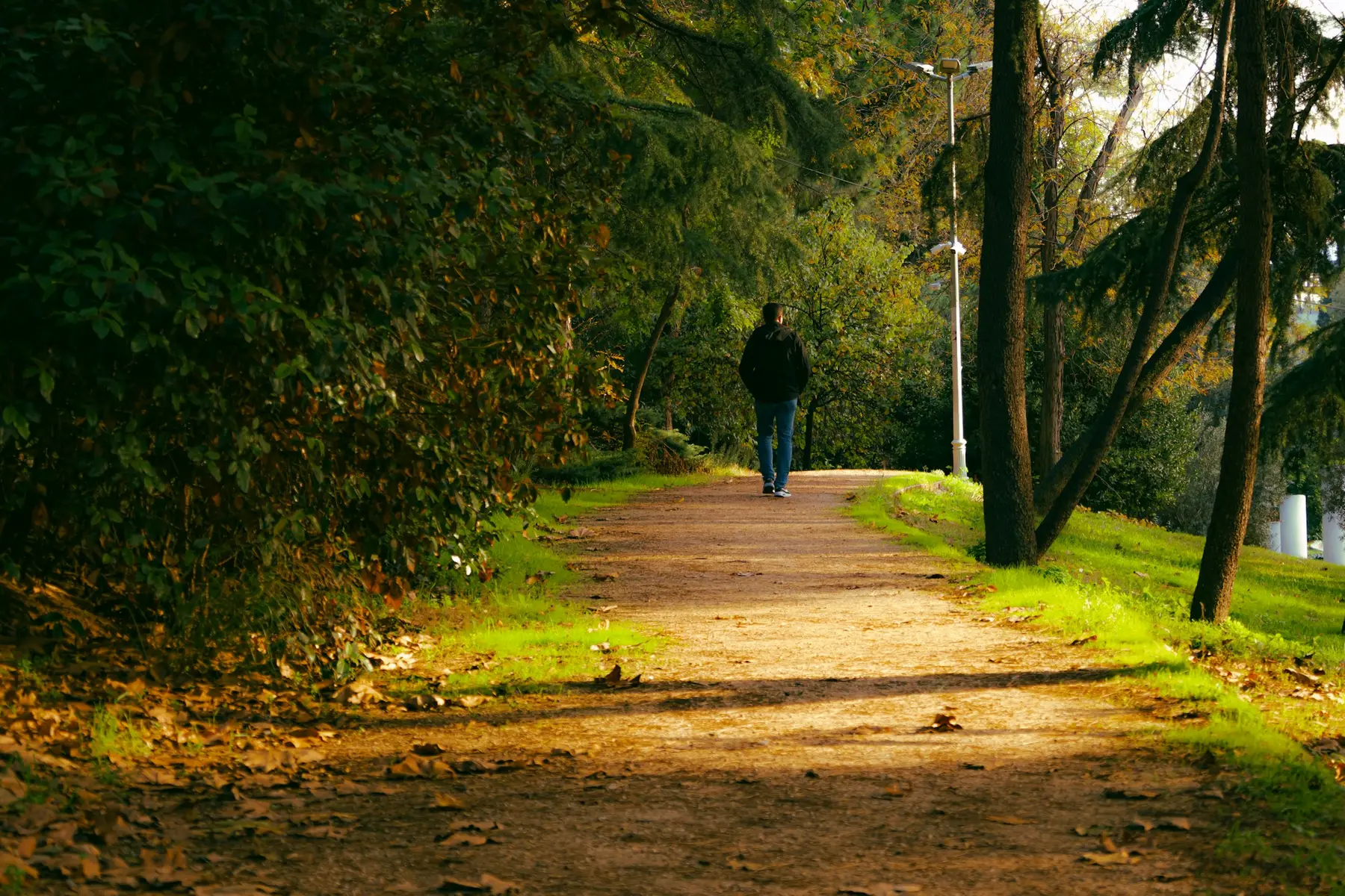 Une personne marche sur un chemin de terre ensoleillé, bordé d’arbres